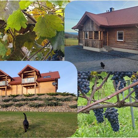 Fantastic View Vineyard Beskid Mountains Gruszow  Exterior photo