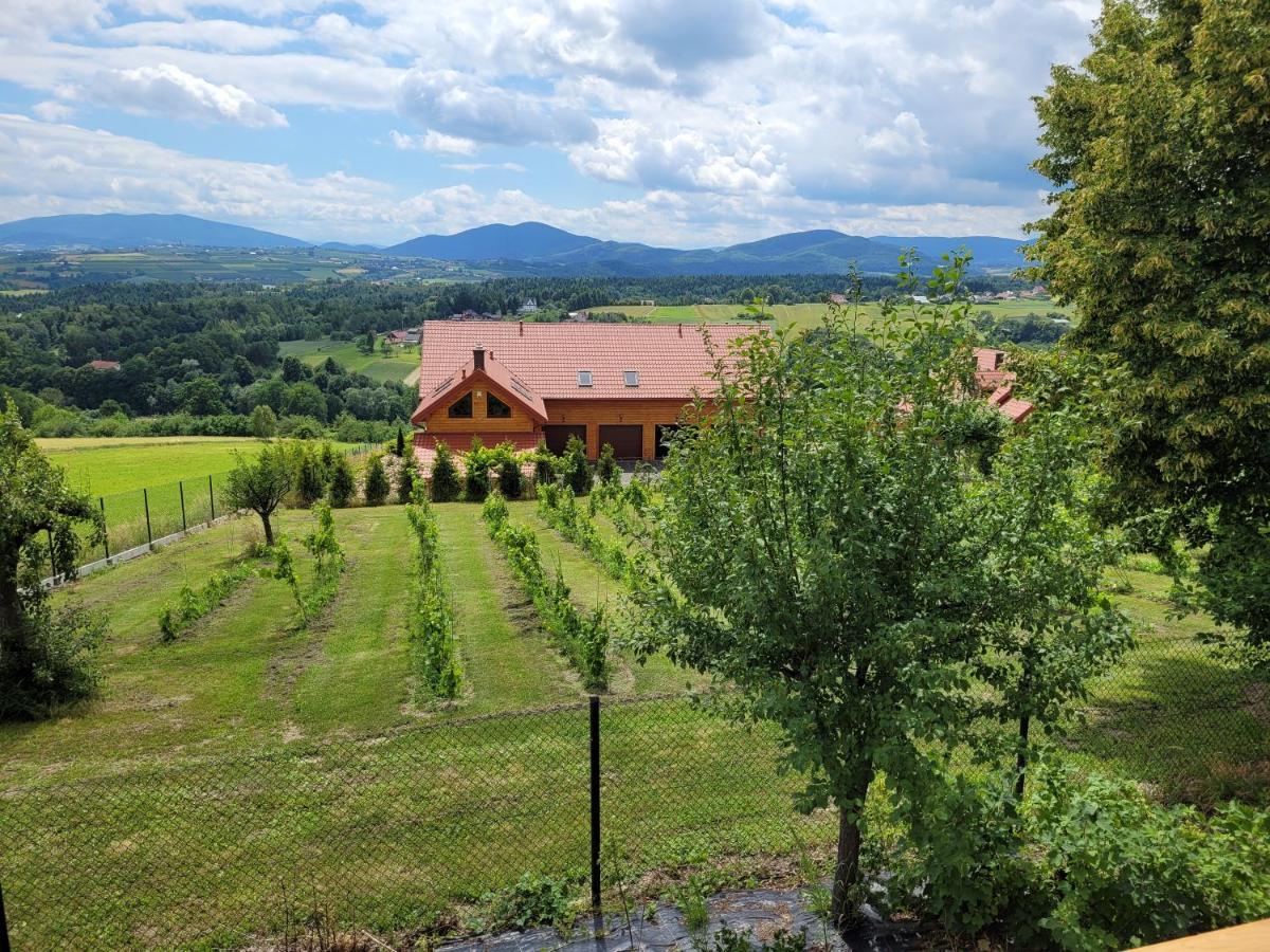 Fantastic View Vineyard Beskid Mountains Gruszow  Exterior photo