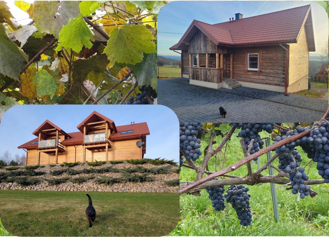 Fantastic View Vineyard Beskid Mountains Gruszow  Exterior photo