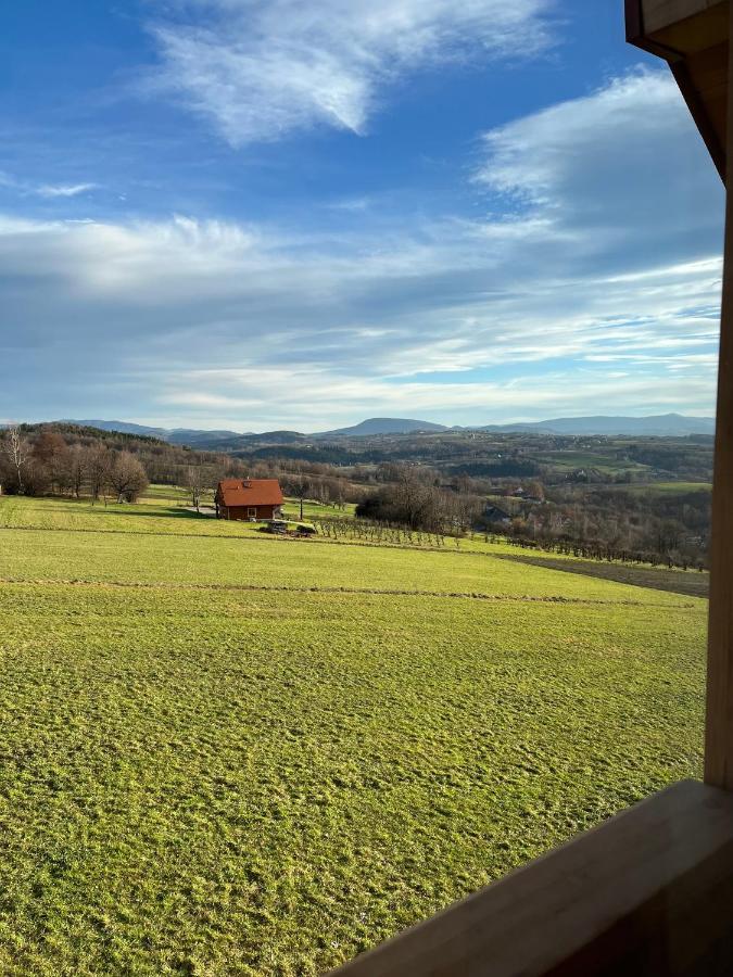 Fantastic View Vineyard Beskid Mountains Gruszow  Exterior photo