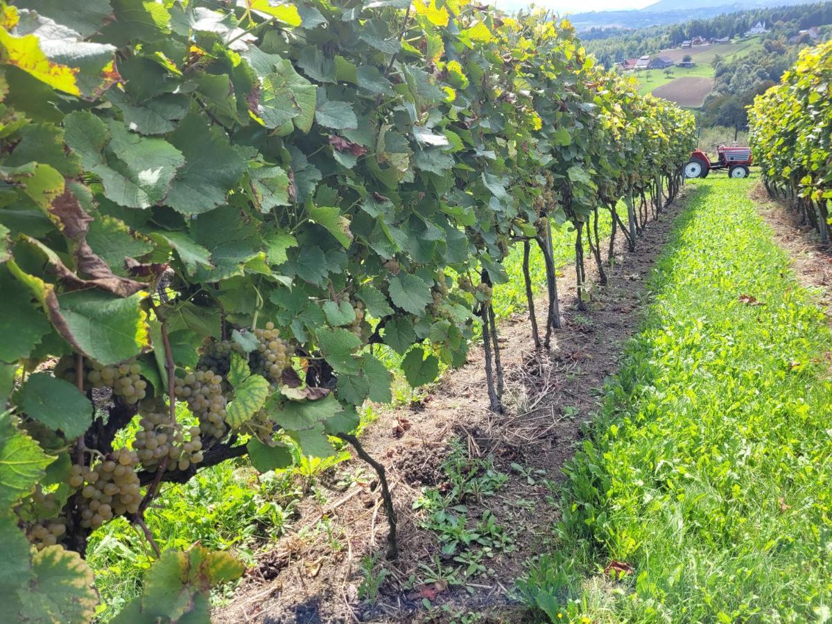 Fantastic View Vineyard Beskid Mountains Gruszow  Exterior photo