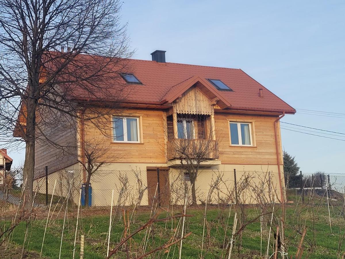 Fantastic View Vineyard Beskid Mountains Gruszow  Exterior photo